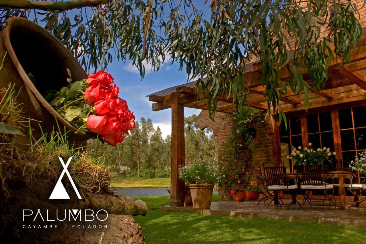 Palumbo Glamping & Villas Каямбе Екстер'єр фото